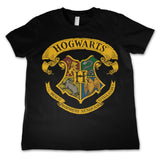 Harry Potter merchandise