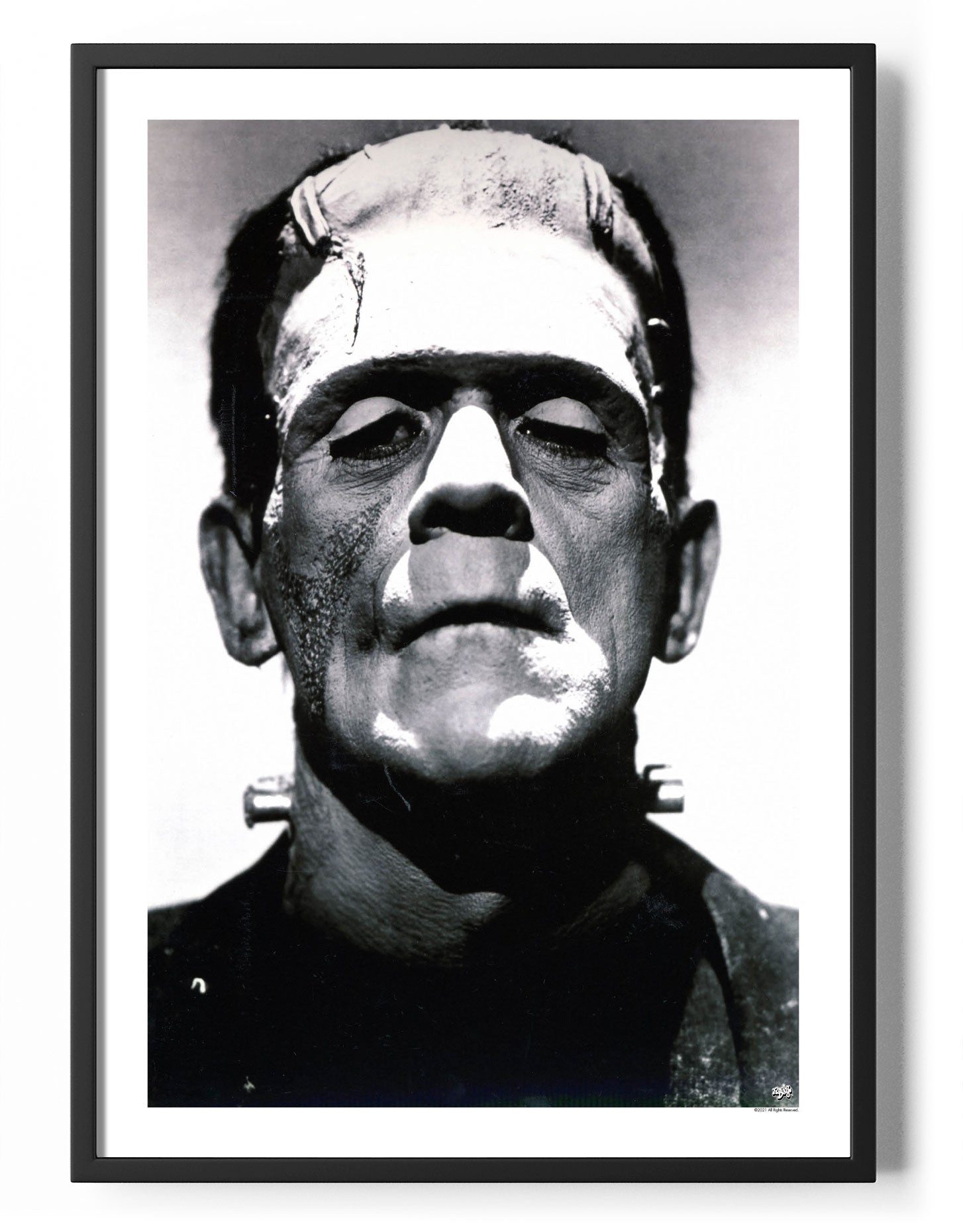 Frankenstein Close-up Poster Posters fra Posters