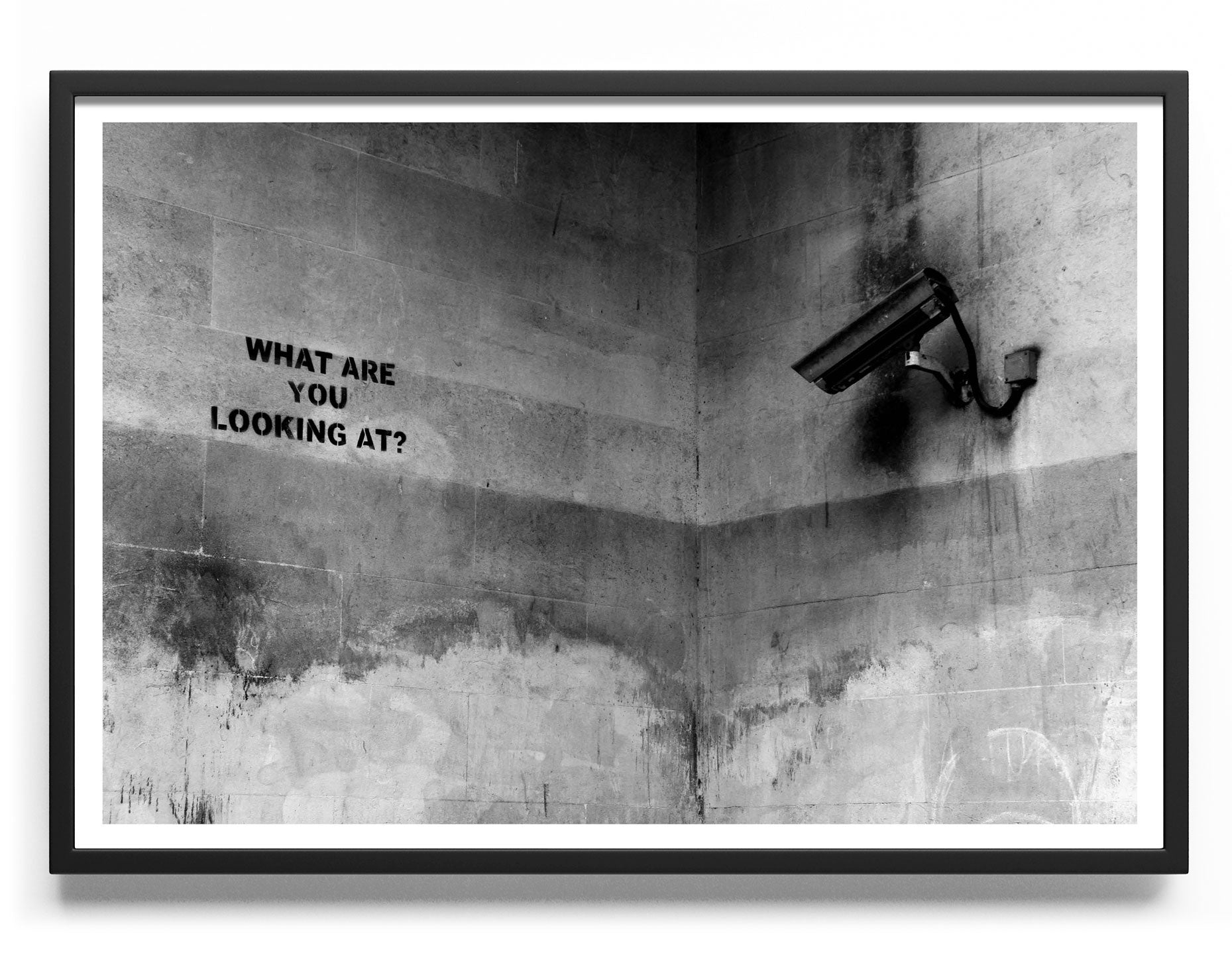 What Are You Looking At Poster Posters fra Posters