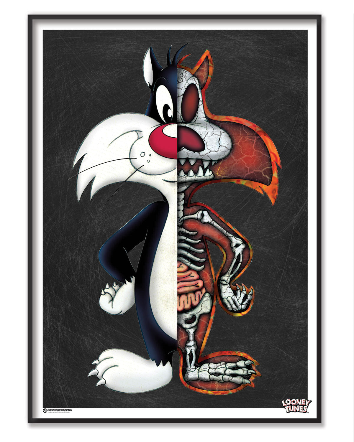 The Anatomy Of Sylvester Poster Posters fra Looney Tunes