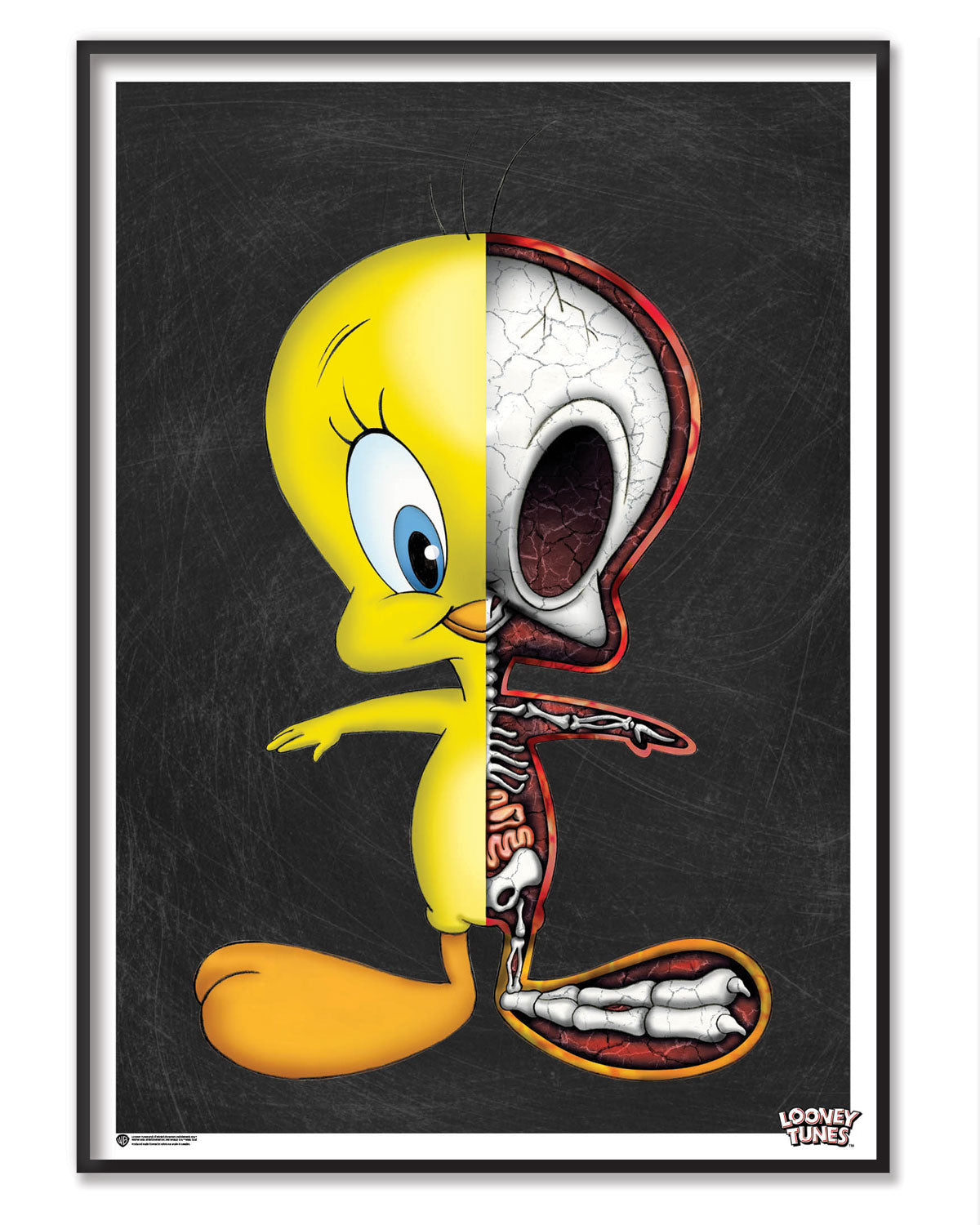The Anatomy of Tweety Poster Posters fra Looney Tunes