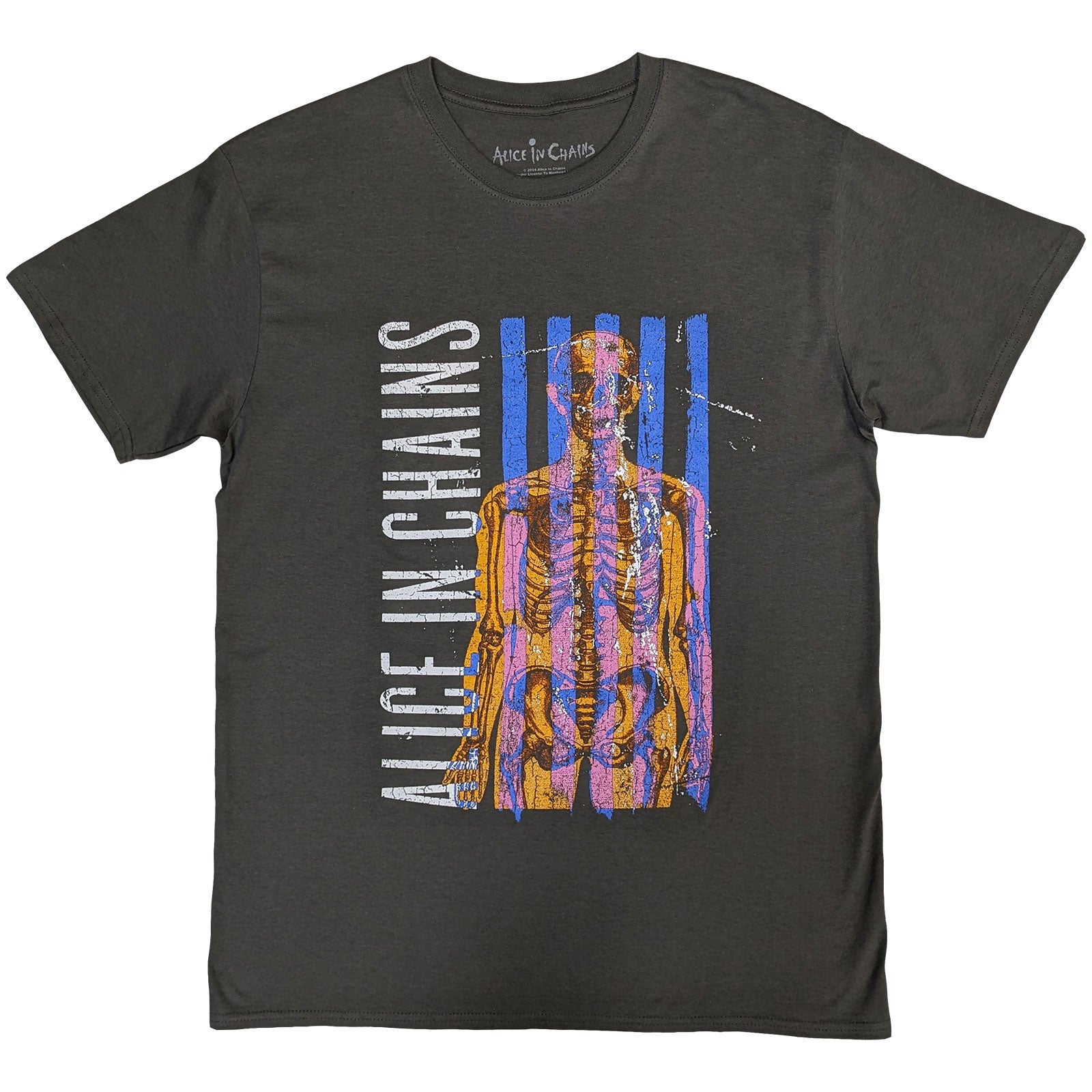 Alice In Chains: Skeletal Stone Wash T-Shirt (Wash)