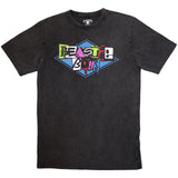 The Beastie Boys: Multicolour Logo Stone Wash T-Shirt (Wash)