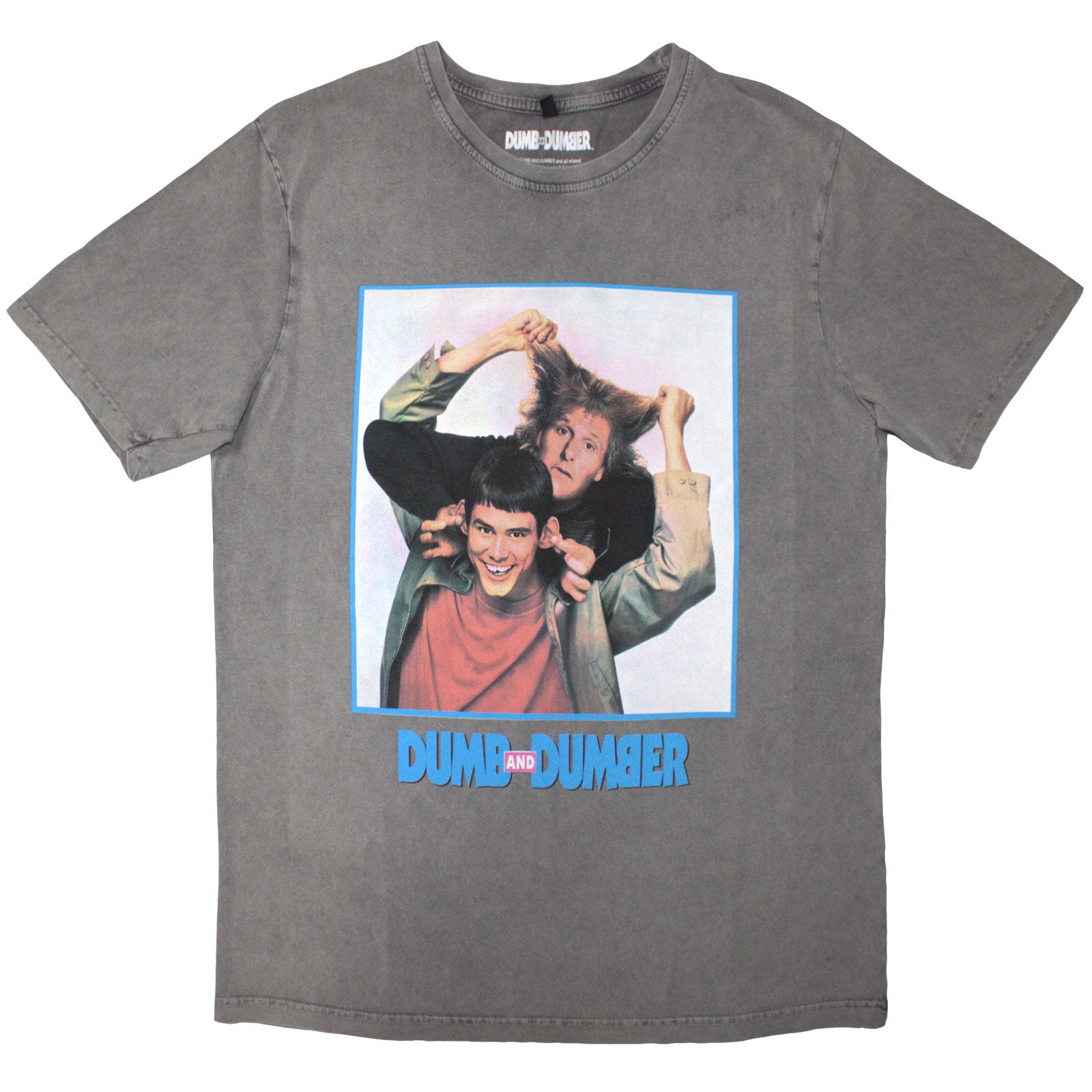 Dumb & Dumber: Movie Poster Stone Wash T-Shirt (Wash)