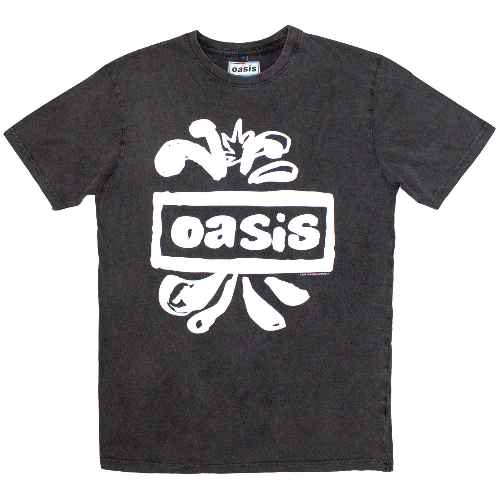 Oasis: Logo Splat Stone Wash T-Shirt (Wash)