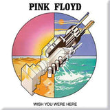 Pink Floyd: Wish You Were Here Graphic Magnet – officielt merchandise