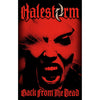 Halestorm: Back From The Dead Textile Poster