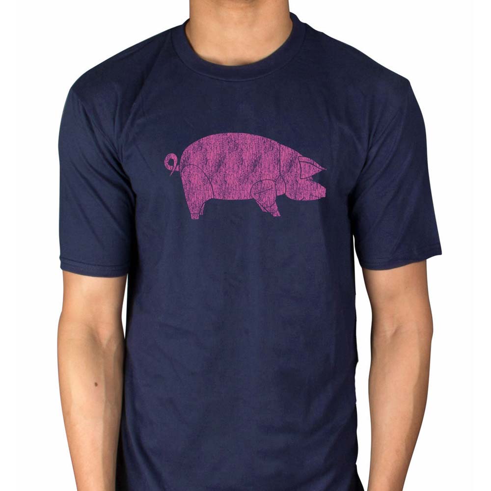 Billede af Pink Floyd AWBDG T-shirt