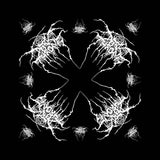 Billede af Darkthrone Logo Bandana
