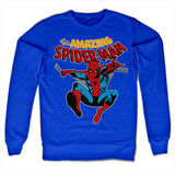 Billede af Spider-Man, The Amazing Spiderman Sweatshirt