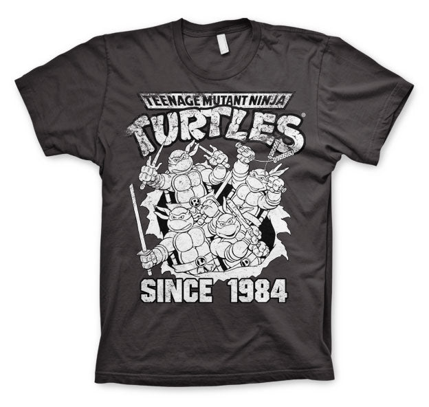Billede af Ninja Turtles, Distressed Since 1984 T-Shirt