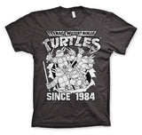 Billede af Ninja Turtles, Distressed Since 1984 T-Shirt