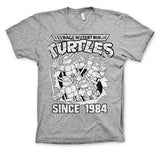 Billede af Ninja Turtles, Distressed Since 1984 T-Shirt