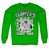 Billede af Ninja Turtles, Distressed Since 1984 Sweatshirt