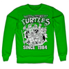 Billede af Ninja Turtles, Distressed Since 1984 Sweatshirt