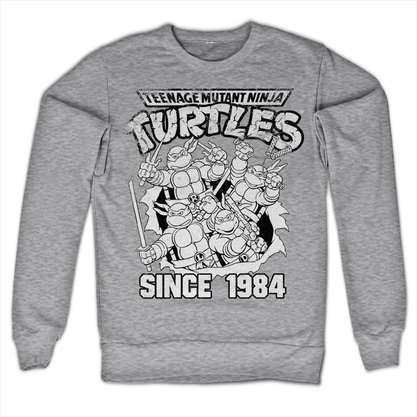 Billede af Ninja Turtles, Distressed Since 1984 Sweatshirt