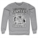 Billede af Ninja Turtles, Distressed Since 1984 Sweatshirt