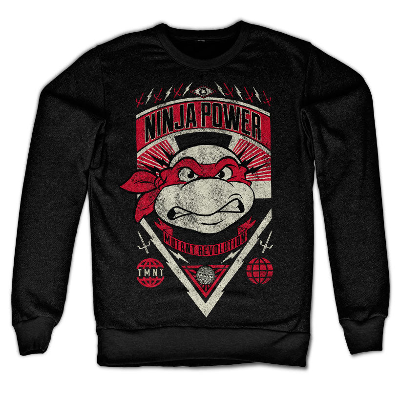 Billede af Ninja Turtles, Ninja Power Sweatshirt