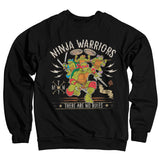 Billede af Ninja Turtles, Ninja Warriors - No Rules Sweatshirt