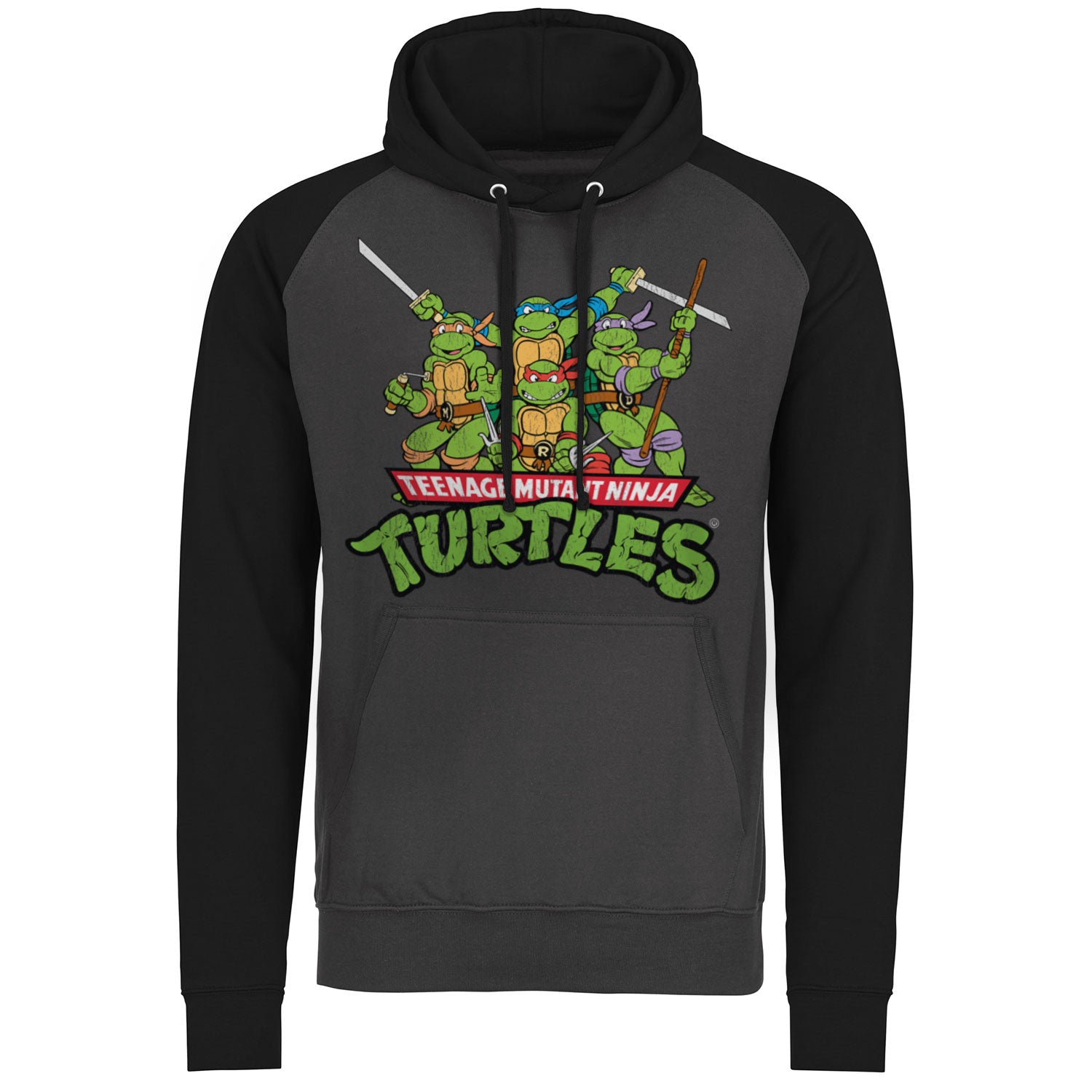 Billede af Ninja Turtles, Distressed Group Raglan Hoodie