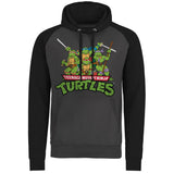 Billede af Ninja Turtles, Distressed Group Raglan Hoodie
