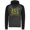 Billede af Ninja Turtles, Distressed Group Raglan Hoodie