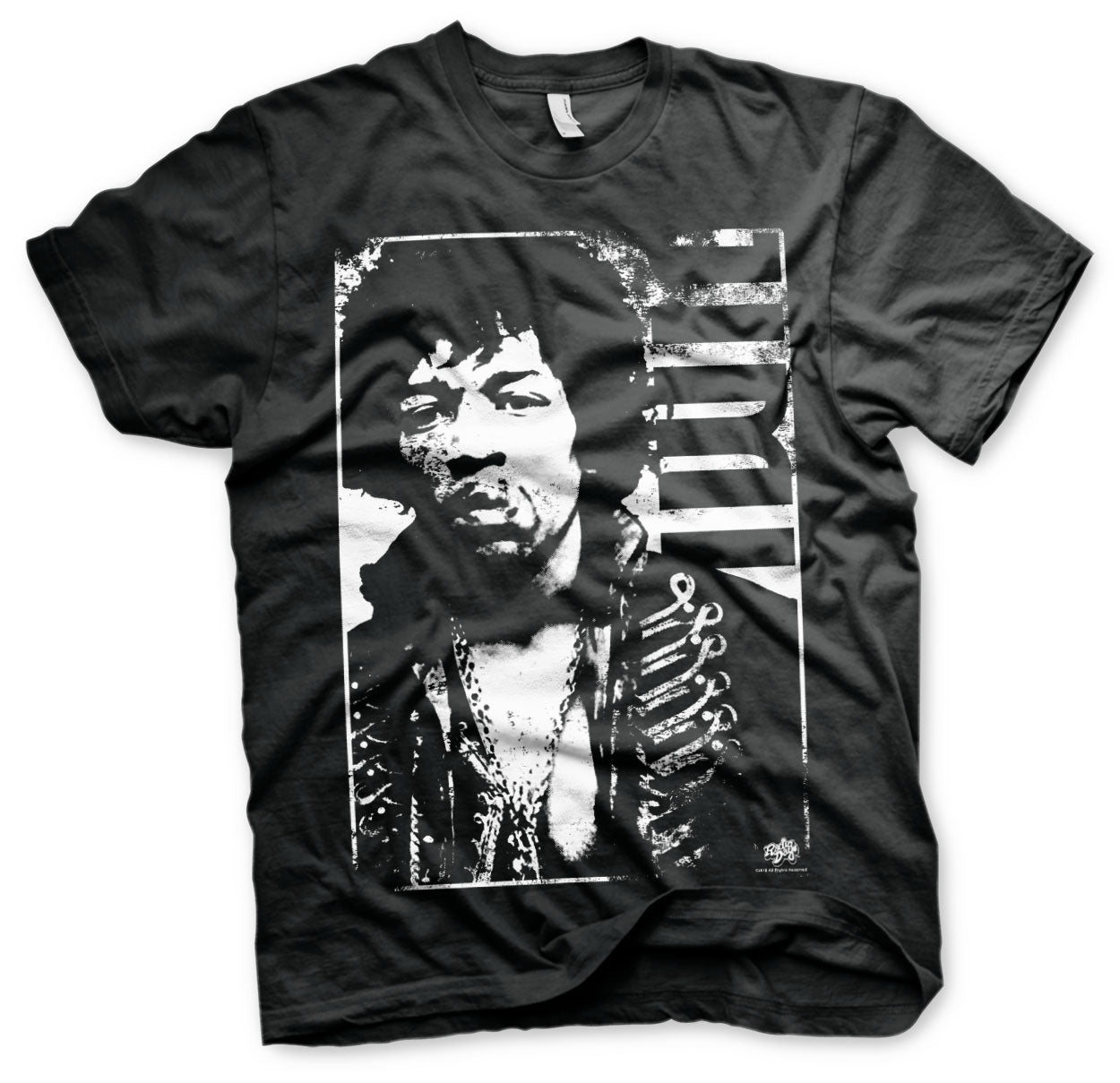 Billede af Jimi Hendrix, Jimi Hendrix: Distressed T-Shirt
