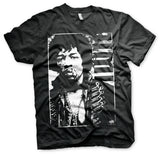 Billede af Jimi Hendrix, Jimi Hendrix: Distressed T-Shirt