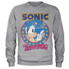 Billede af Sonic The Hedgehog: Sweatshirt