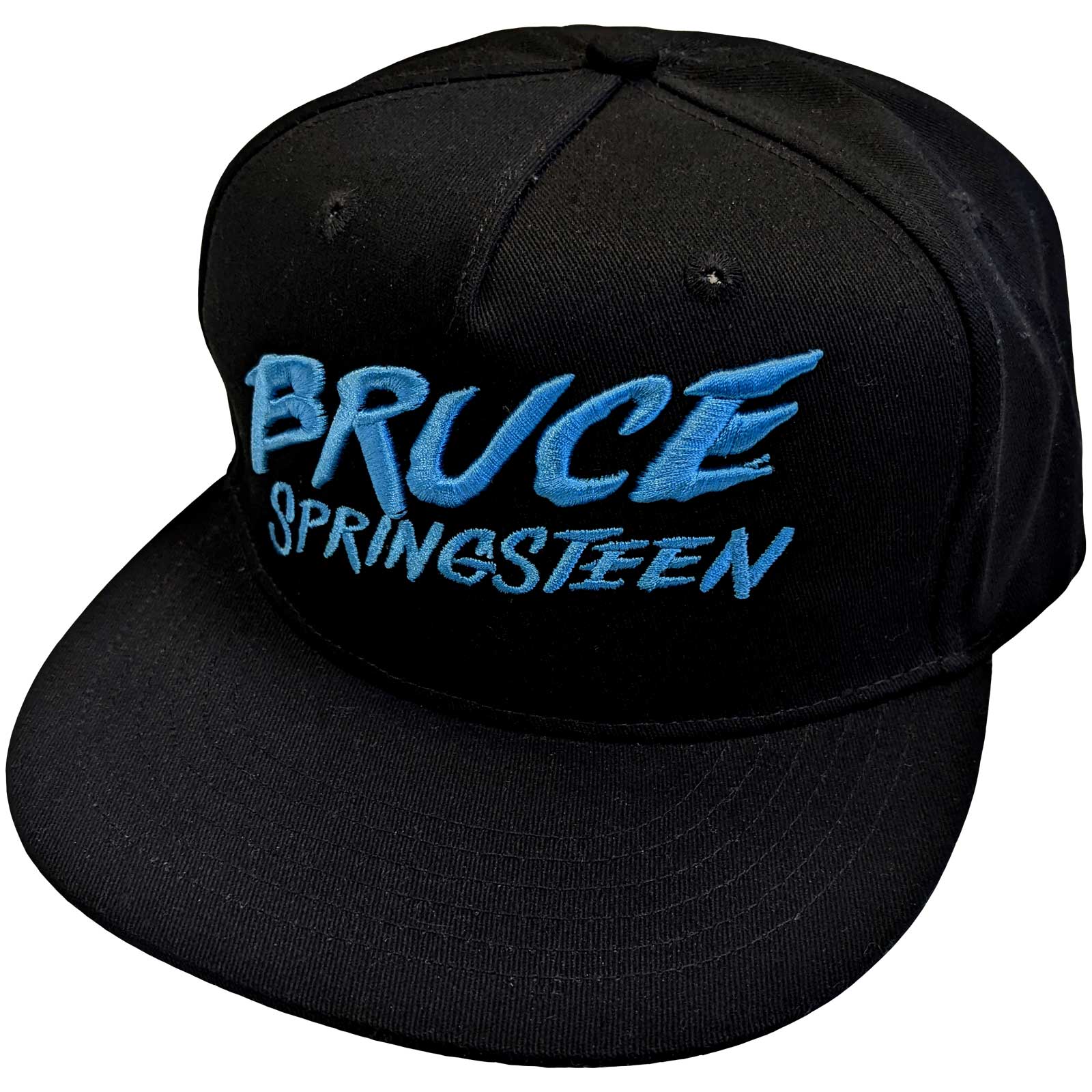 Bruce Springsteen: The River Logo Snapback Cap (Embroidered)