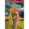 Iron Maiden, Iron Maiden Plakat