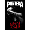 Billede af Pantera Vulgar Display Of Power Plakat