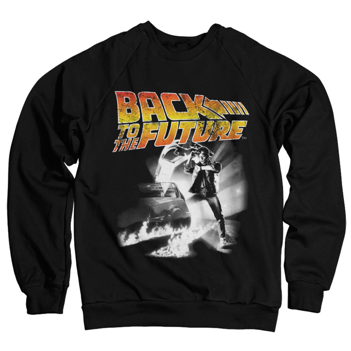 Billede af Back to the Future, Back To The Future: Poster Sweatshirt