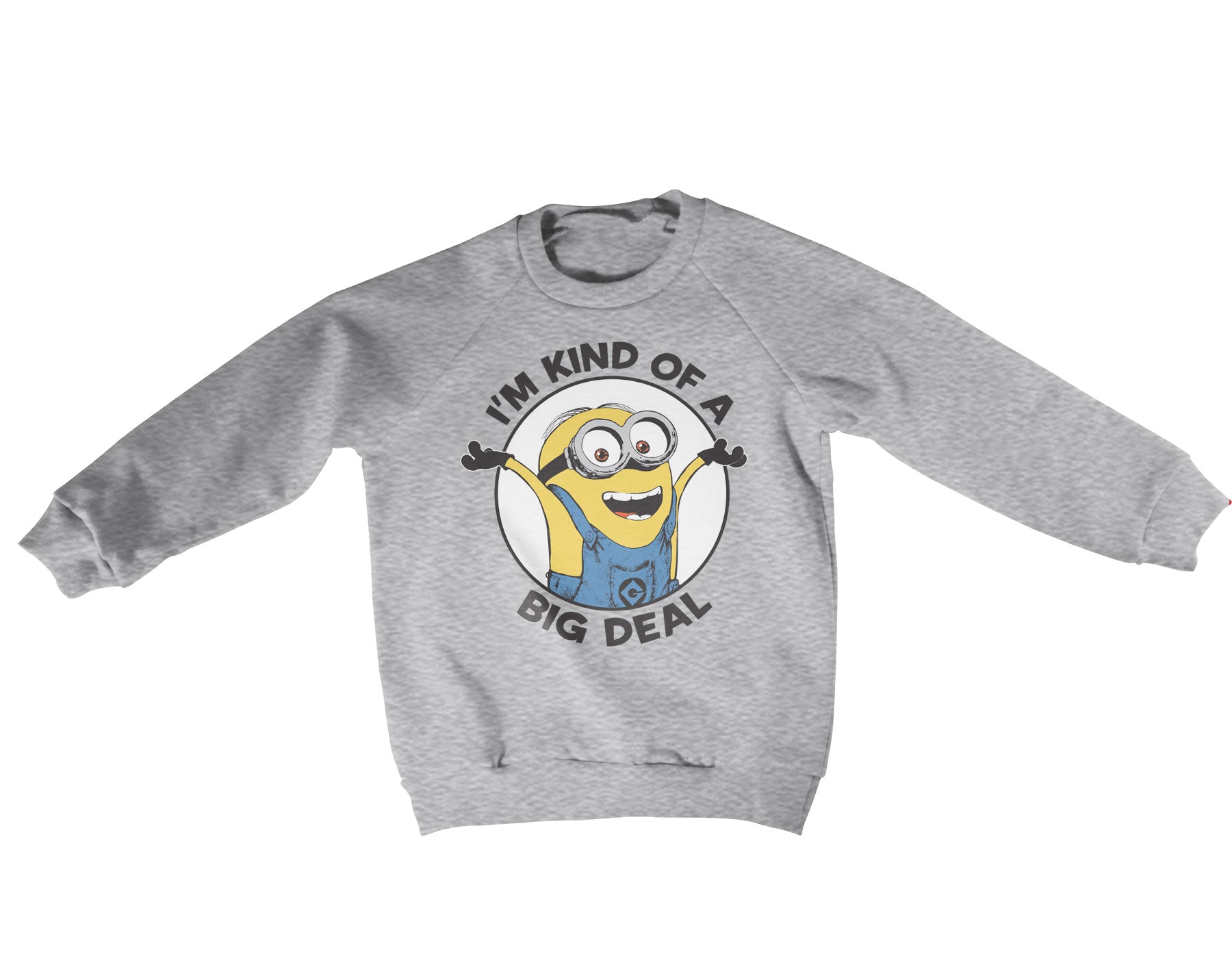 Billede af Minions, Minions: I'm Kind Of A Big Deal Sweatshirt (Børn)