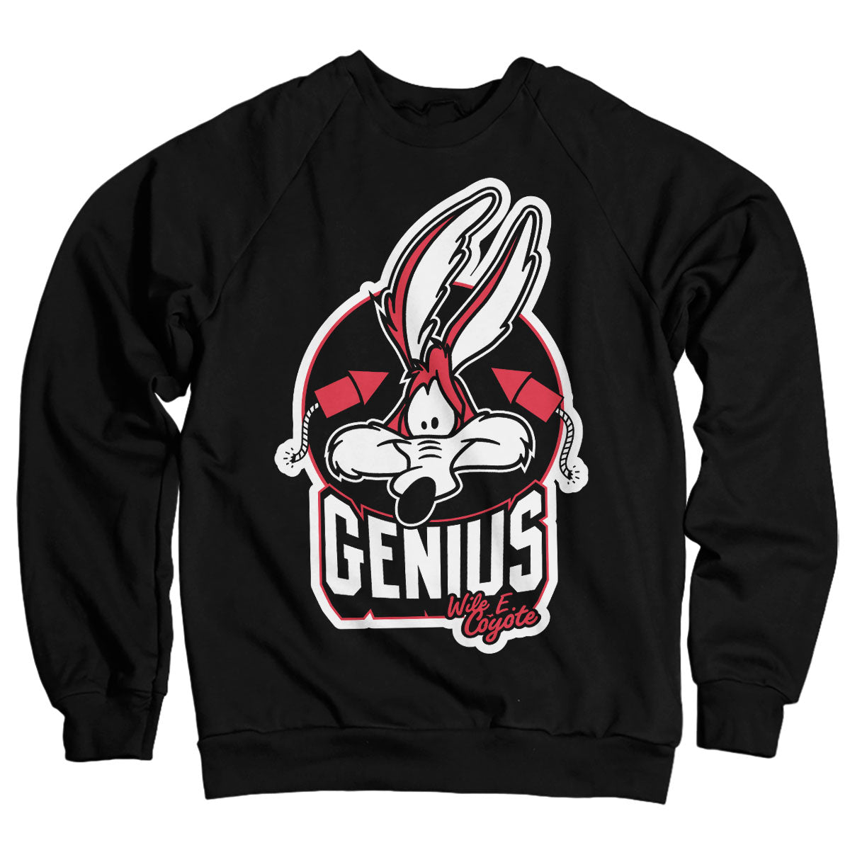 Billede af Looney Tunes, Looney Tunes: Wile E. Coyote - Genius Sweatshirt