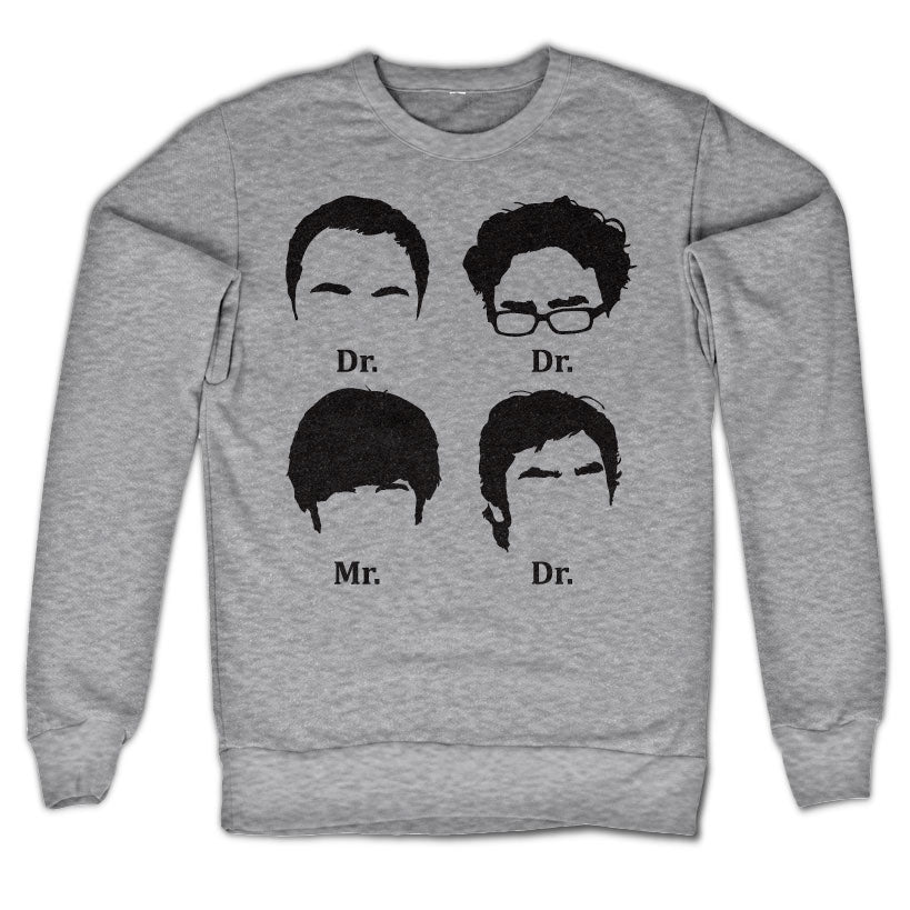 Billede af The Big Bang Theory, Prefix Heads Sweatshirt