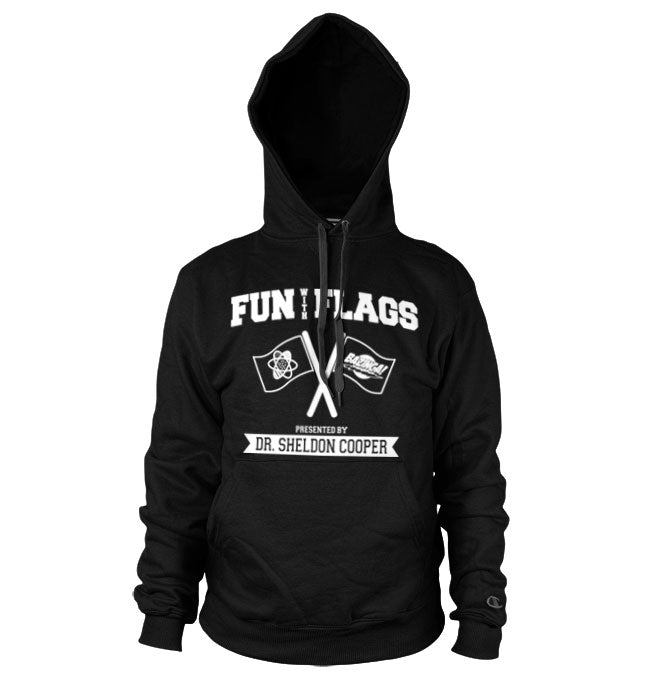 Billede af The Big Bang Theory, Fun With Flags Hoodie