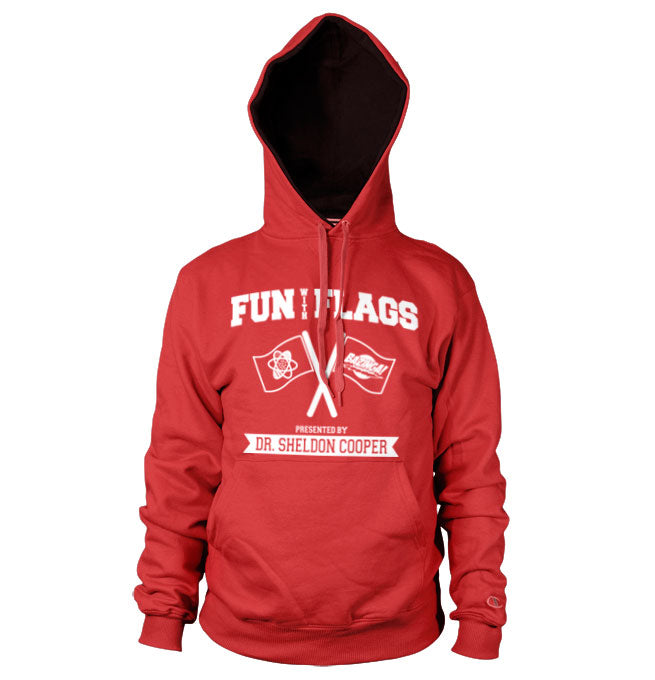 Billede af The Big Bang Theory, Fun With Flags Hoodie