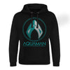 Billede af Aquaman, Aquaman: Distressed Shield Epic Hoodie