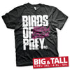 Billede af Birds of Prey, Birds of Prey: Logo Hoodie (Big & Tall)
