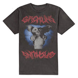 Warner Bros: Gizmo Graphic T-Shirt