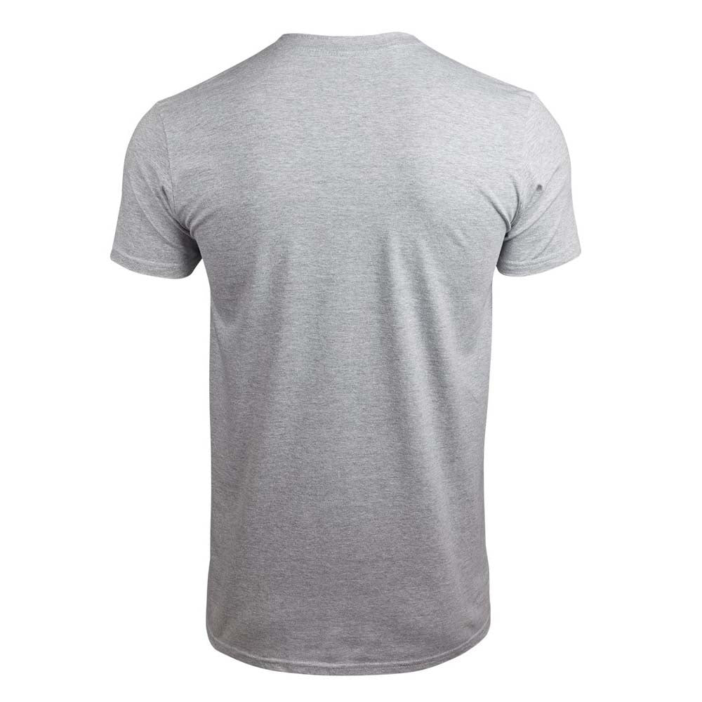 Billede af Jimi Hendrix Are You Experienced T-shirt grå back