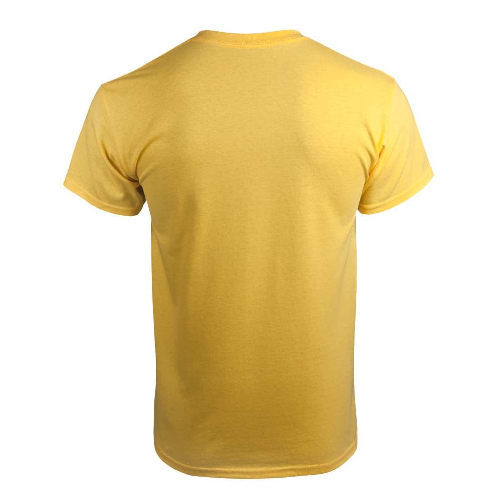 Billede af Jimi Hendrix Are You Experienced T-shirt gul back